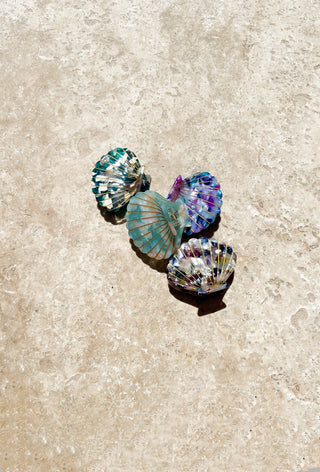 Haarklammer in Muschelform, Aqua