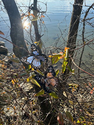 Handbemalte Mini Schmetterling Haarspange Saphire| Geschenkidee