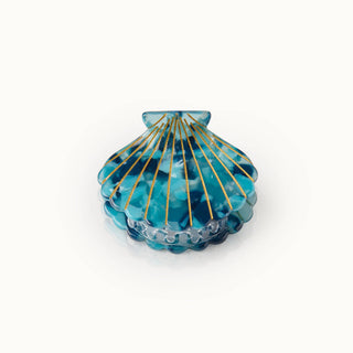 Haarklammer Muschelform Ozean