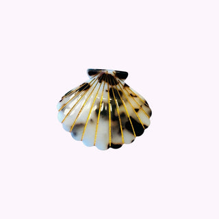 Haarklammer Muschelform Leo