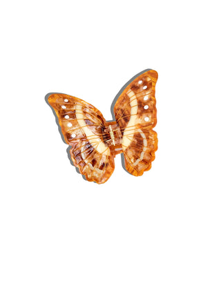 Schmetterling Haarspange in limitierter Auflage Braun I Geschenkidee
