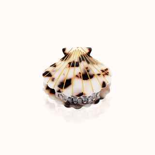 Haarklammer Muschelform Leo